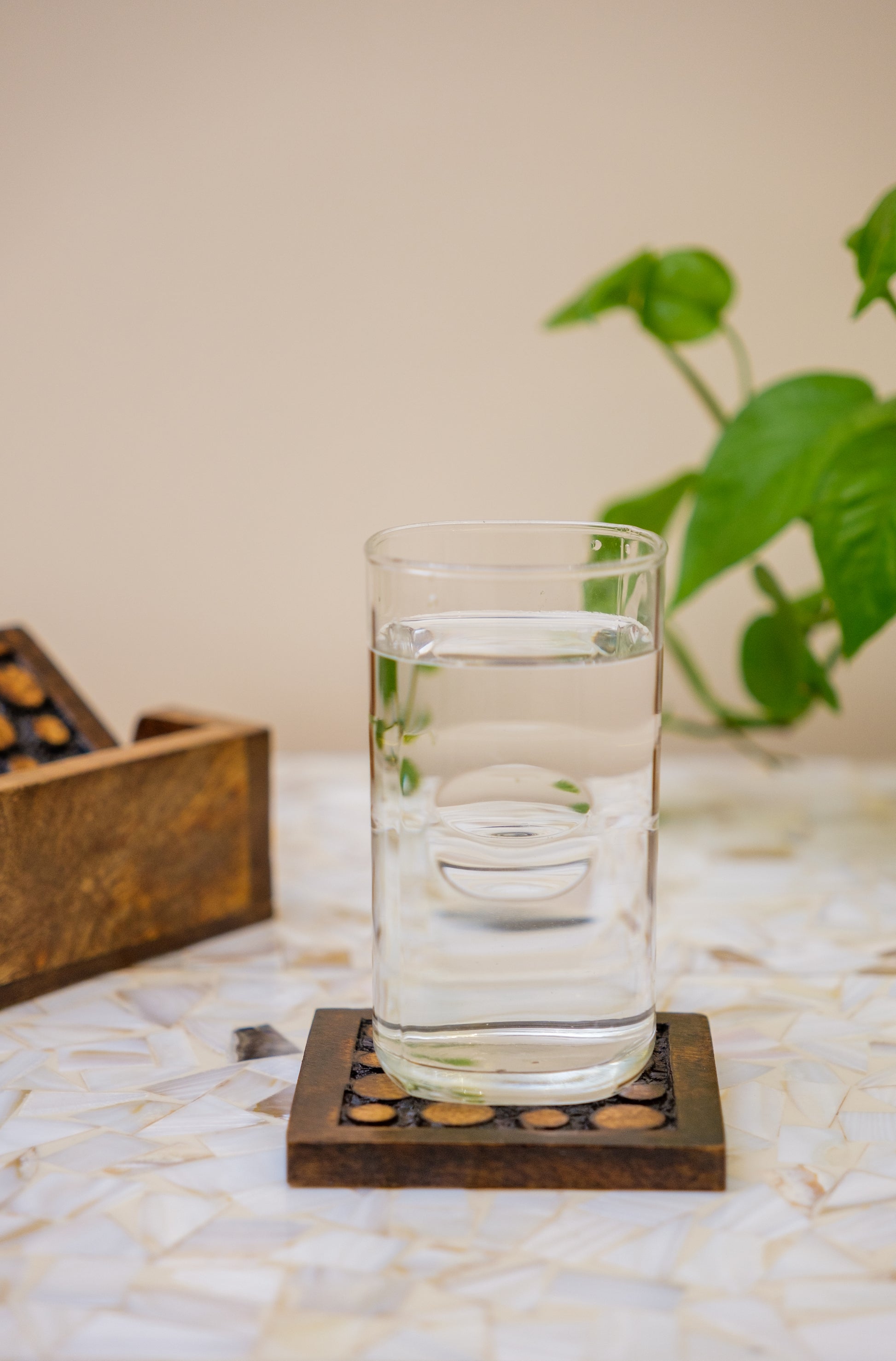 Glass of water on a handcrafted wooden coaster, marble surface, green plant in background